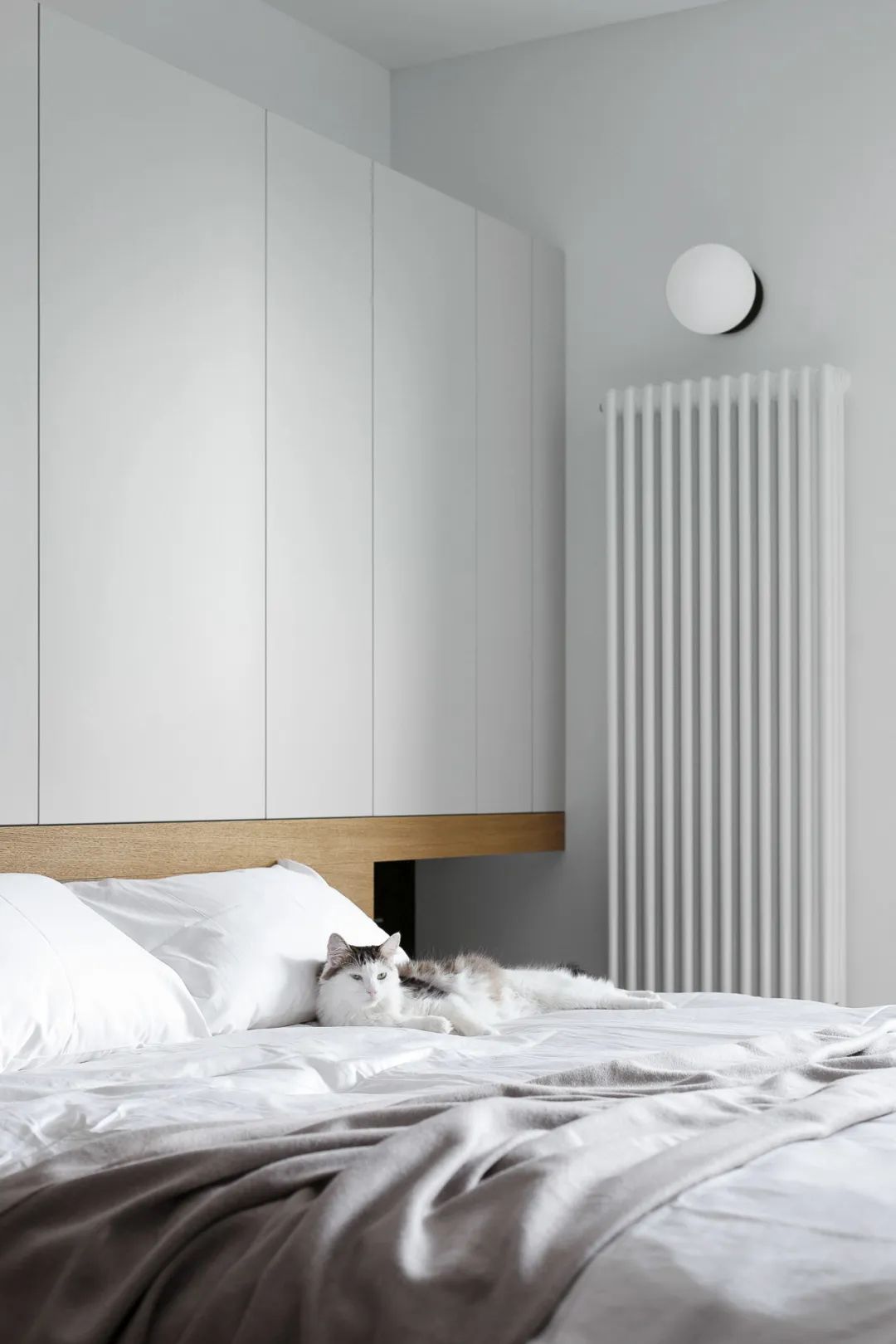 031429030744.jpg 031429030744.jpg