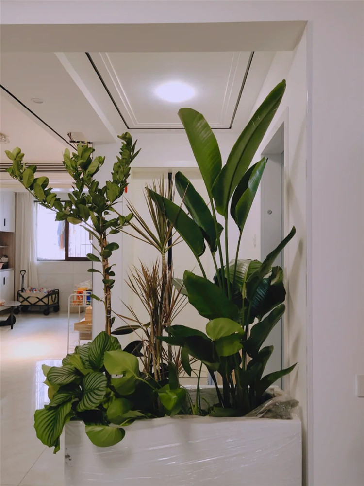 武漢裝修,空間規劃,室內設計 武漢裝修,空間規劃,室內設計