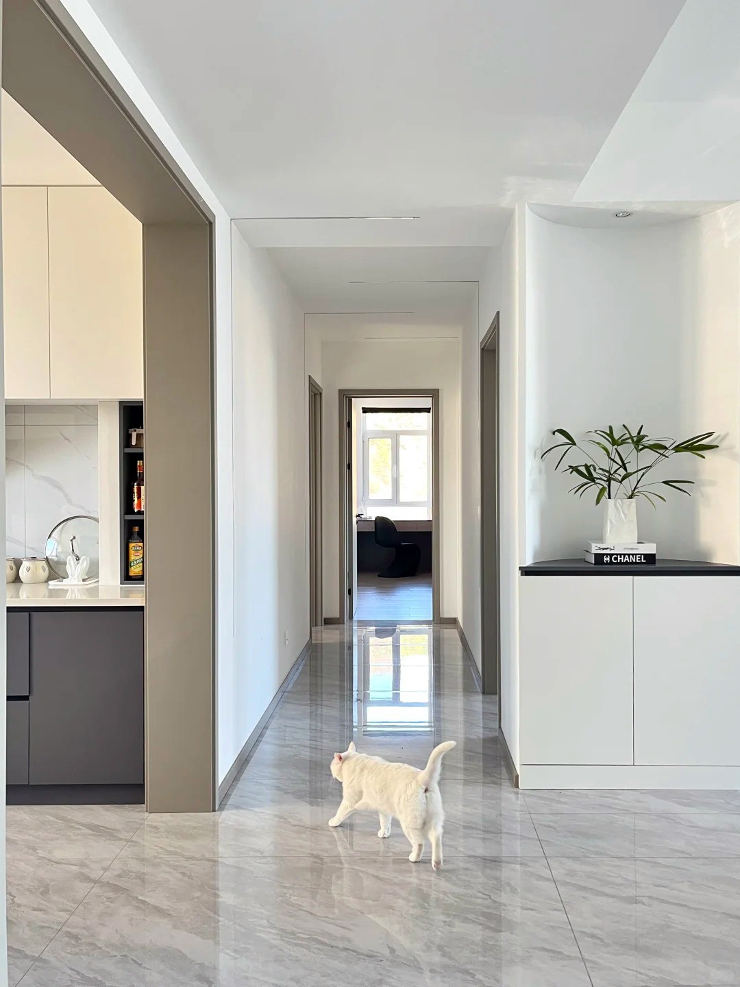 養(yǎng)寵裝修,寵物家庭裝修,養(yǎng)寵裝修選材 養(yǎng)寵裝修,寵物家庭裝修,養(yǎng)寵裝修選材